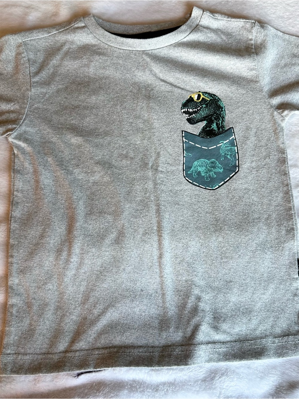 American Hawk Kids' Short Sleeve Tee in Light Gray